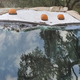 Image for article titled Man Tries Using Tree To Lift Ford Super Duty Cab And It Goes Terribly Wrong